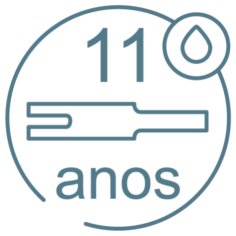 11 anos